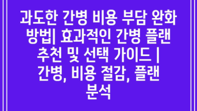 과도한 간병 비용 부담 완화 방법| 효과적인 간병 플랜 추천 및 선택 가이드 | 간병, 비용 절감, 플랜 분석