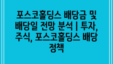 포스코홀딩스 배당금 및 배당일 전망 분석 | 투자, 주식, 포스코홀딩스 배당 정책