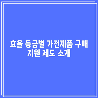 효율 등급 고려한 가전제품 구매 비용 지원 및 전기요금 복지 할인 정보 | 가전제품, 전기요금, 비용 절감, 복지 혜택