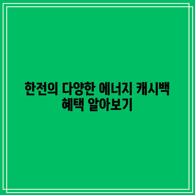 한전 에너지 캐시백으로 전기세 절약하는 법! 환경을 지키는 스마트한 선택 | 전기세 할인, 환경 보호, 에너지 관리