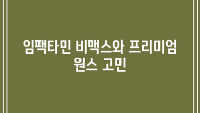 임팩타민 비맥스와 프리미엄 원스 고민