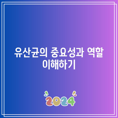 필수 영양제 추천: 유산균 이상을 위한 목록