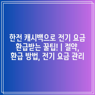 한전 캐시백으로 전기 요금 환급받는 꿀팁! | 절약, 환급 방법, 전기 요금 관리