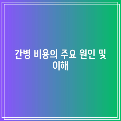 과도한 간병 비용 부담 완화 방법| 효과적인 간병 플랜 추천 및 선택 가이드 | 간병, 비용 절감, 플랜 분석