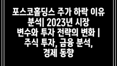 포스코홀딩스 주가 하락 이유 분석| 2023년 시장 변수와 투자 전략의 변화 | 주식 투자, 금융 분석, 경제 동향