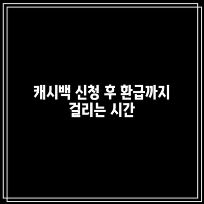 한전 에너지 캐시백 신청 방법과 전기세 환급 조건 안내 | 에너지 절약, 환급 절차, 캐시백 혜택"