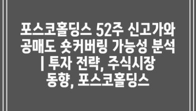 포스코홀딩스 52주 신고가와 공매도 숏커버링 가능성 분석 | 투자 전략, 주식시장 동향, 포스코홀딩스