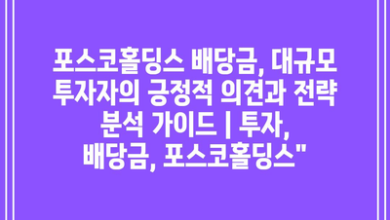 포스코홀딩스 배당금, 대규모 투자자의 긍정적 의견과 전략 분석 가이드 | 투자, 배당금, 포스코홀딩스”