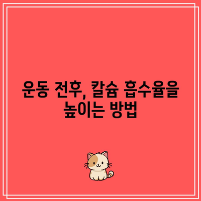 운동선수를 위한 칼슘제의 섭취 타이밍: 흡수율과 성과 증진