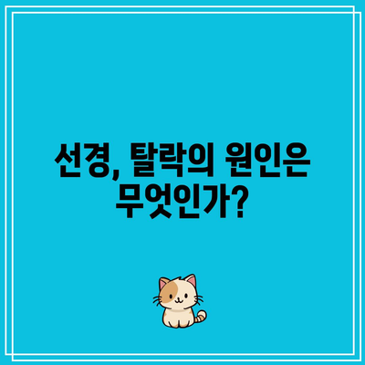 흑백요리사 최강록, 롱게스트와 선경의 탈락 운명은? 대회 결과 및 분석