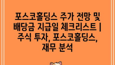 포스코홀딩스 주가 전망 및 배당금 지급일 체크리스트 | 주식 투자, 포스코홀딩스, 재무 분석