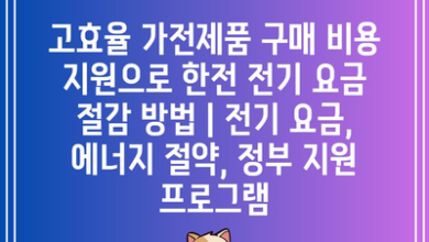 고효율 가전제품 구매 비용 지원으로 한전 전기 요금 절감 방법 | 전기 요금, 에너지 절약, 정부 지원 프로그램