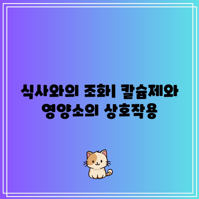 운동 선수에게 칼슘제 선택 시 고려해야 할 것: 최적의 보충을 위해