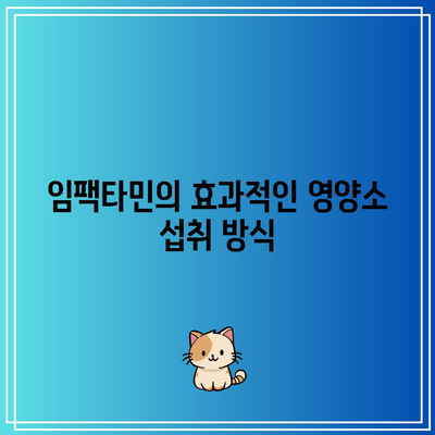 임팩타민 프리미엄 원스 파워 케어 가격 비타민B 종합비타민비교