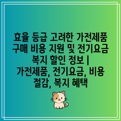 효율 등급 고려한 가전제품 구매 비용 지원 및 전기요금 복지 할인 정보 | 가전제품, 전기요금, 비용 절감, 복지 혜택