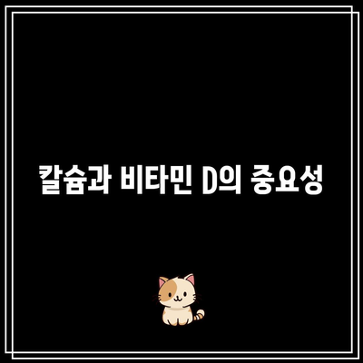 폐경기 여성의 칼슘 필요성과 식이 공급원