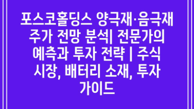 포스코홀딩스 양극재·음극재 주가 전망 분석| 전문가의 예측과 투자 전략 | 주식 시장, 배터리 소재, 투자 가이드