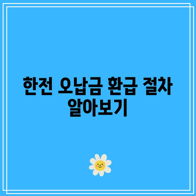 출산과 가구 전기 기구 할인 요금제 미적용으로 인한 한전 오납금 환급 경험기 | 환급, 전기 기구, 할인 요금제 해결방법