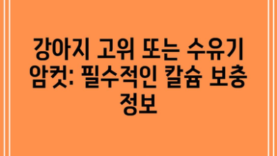 강아지 고위 또는 수유기 암컷: 필수적인 칼슘 보충 정보