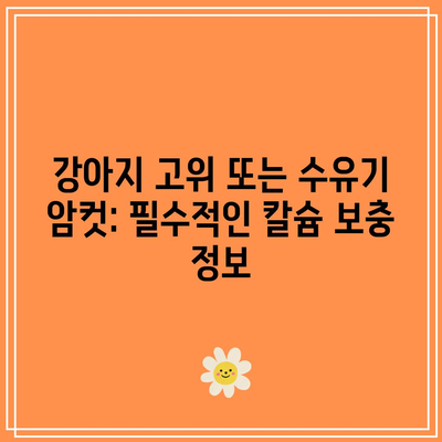 강아지 고위 또는 수유기 암컷: 필수적인 칼슘 보충 정보