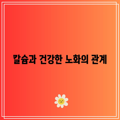 노인의 칼슘제 복용: 길고 건강한 삶을 위한 필수 요소