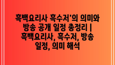 흑백요리사 흑수저’의 의미와 방송 공개 일정 총정리 | 흑백요리사, 흑수저, 방송 일정, 의미 해석