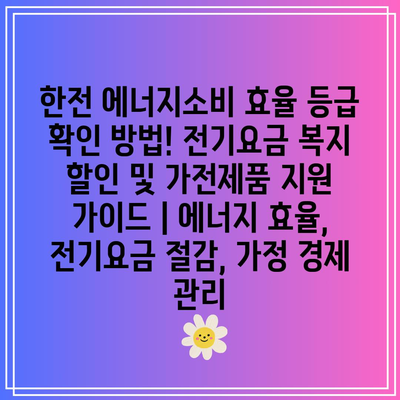 한전 에너지소비 효율 등급 확인 방법! 전기요금 복지 할인 및 가전제품 지원 가이드 | 에너지 효율, 전기요금 절감, 가정 경제 관리