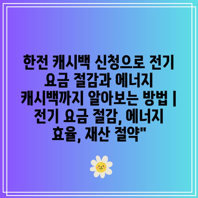 한전 캐시백 신청으로 전기 요금 절감과 에너지 캐시백까지 알아보는 방법 | 전기 요금 절감, 에너지 효율, 재산 절약”