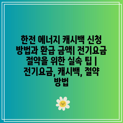 한전 에너지 캐시백 신청 방법과 환급 금액| 전기요금 절약을 위한 실속 팁 | 전기요금, 캐시백, 절약 방법